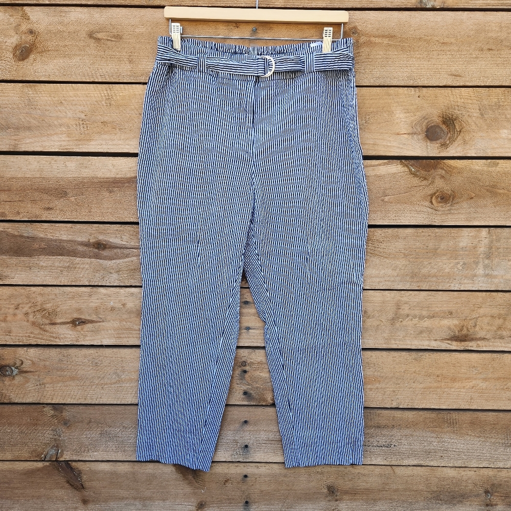 🔥Anne Klein Blue and White Striped Slim Ankle Pants, Size: 14
